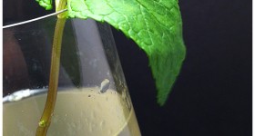 nye_southern_royale Southern Royale Champagne Cocktail